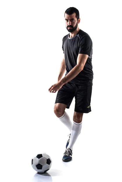 乐鱼体育内容与平台联动示意图